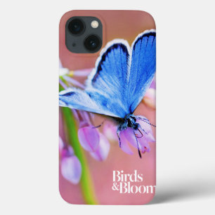 Azurblauer Schmetterling iPhone 13 Hülle