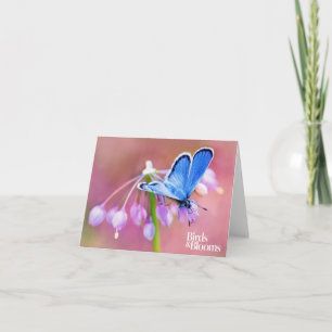 Azurblauer Schmetterling Karte
