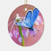 Azurblauer Schmetterling Keramik Ornament (Links)