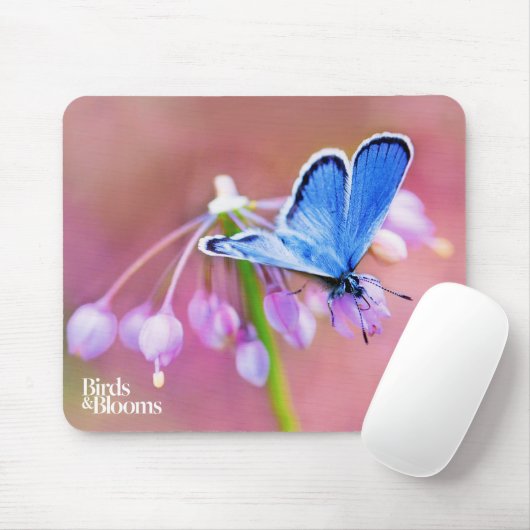 Azurblauer Schmetterling Mousepad (Mit Mouse)