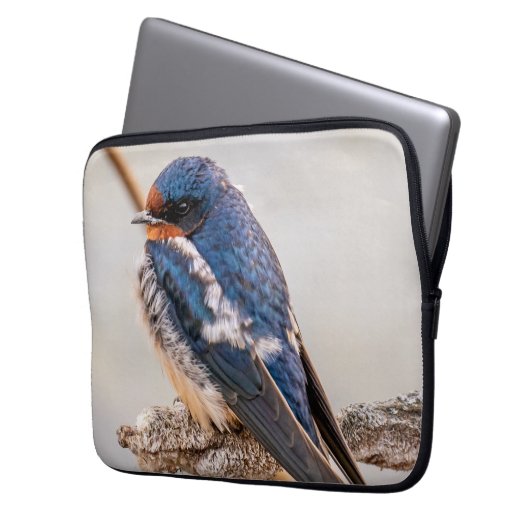 Azure Avian: Wildvogel in Kanadien schlucken Laptopschutzhülle (Vorderseite Links)