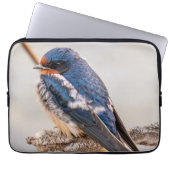 Azure Avian: Wildvogel in Kanadien schlucken Laptopschutzhülle (Vorderseite)