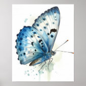 Azure Butterfly Art Print Poster (Vorne)
