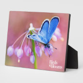 Azure Butterfly Fotoplatte (Seite)