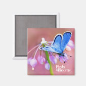 Azure Butterfly Magnet (Vorderseite/Rückseite)