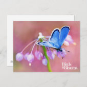 Azure Butterfly Postkarte (Vorne/Hinten)
