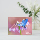 Azure Butterfly Postkarte (Stehend Vorderseite)