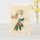 Azure (Cerulean) Warbler, Audubon Birds of America Karte (Gelbe Blume)