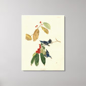 Azure (Cerulean) Warbler, Audubon Birds of America Leinwanddruck (Vorderseite)