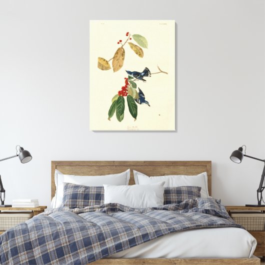 Azure (Cerulean) Warbler, Audubon Birds of America Leinwanddruck (Insitu (Schlafzimmer))