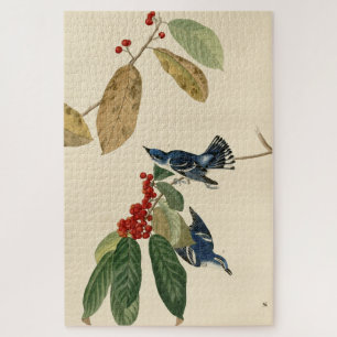 Azure (Cerulean) Warbler, Audubon Birds of America Puzzle