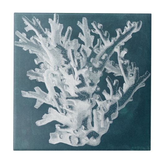 Azure Coral I Fliese (Vorderseite)