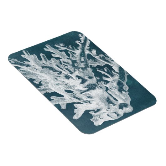 Azure Coral I Magnet (Rechte Seite)