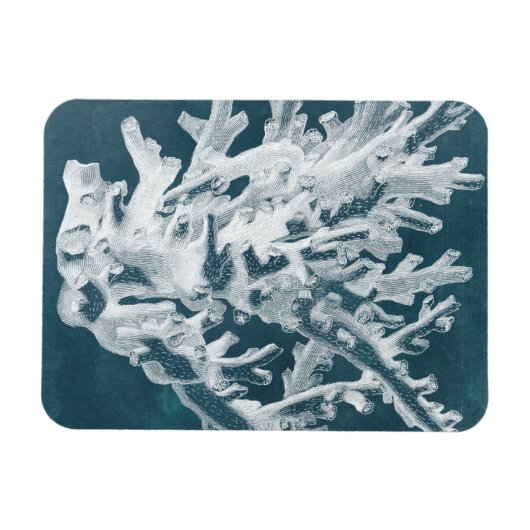 Azure Coral I Magnet (Horizontal)