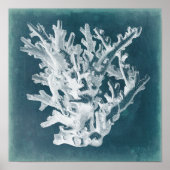 Azure Coral I Poster (Vorne)
