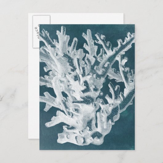 Azure Coral I Postkarte (Vorne/Hinten)