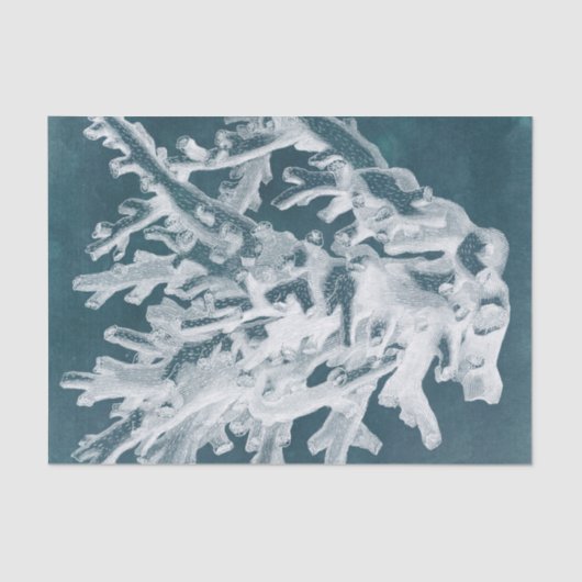 Azure Coral I Seidenpapier (Vorderseite)