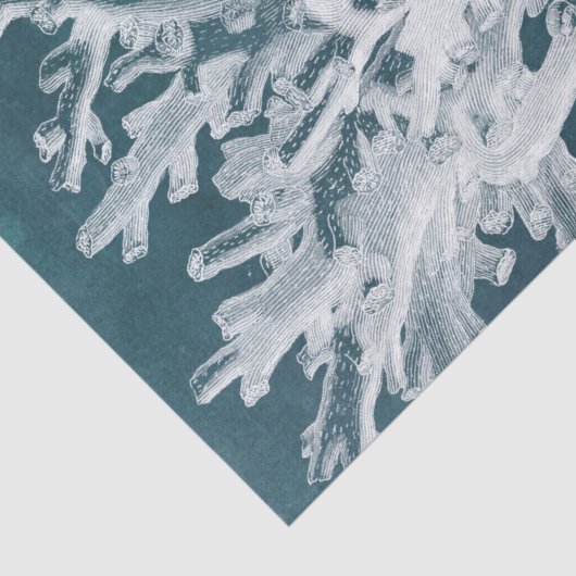 Azure Coral I Seidenpapier (Ausschnitt)