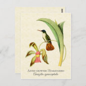 Azure Crowned Hummingbird Vintag Art Postkarte (Vorne/Hinten)