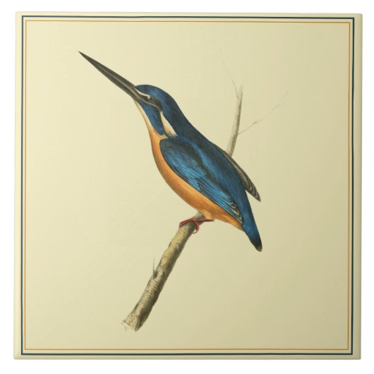 Azure Kingfisher Fliese (Vorderseite)