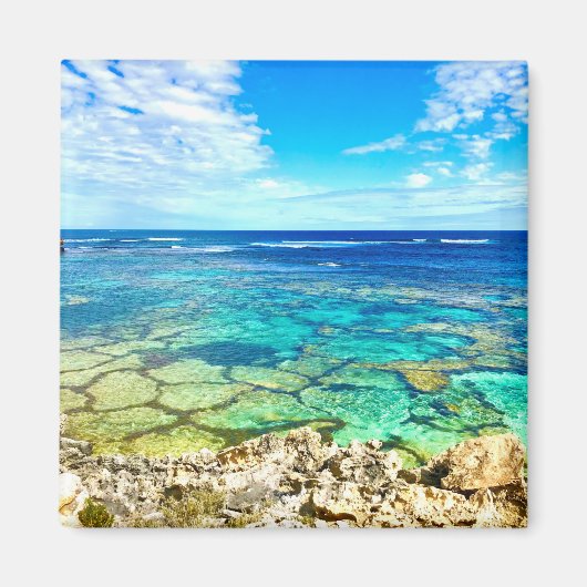 Azure Ocean Reef Magnet (Vorne)