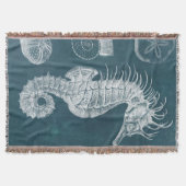 Azure-Seepferd-Studie I Decke (Vorderseite)