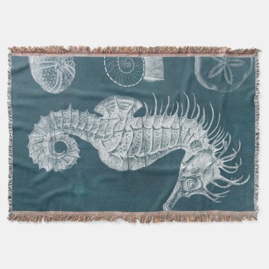 Azure-Seepferd-Studie I Decke (Vorderseite)