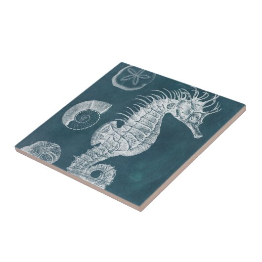 Azure-Seepferd-Studie I Fliese (Seite)