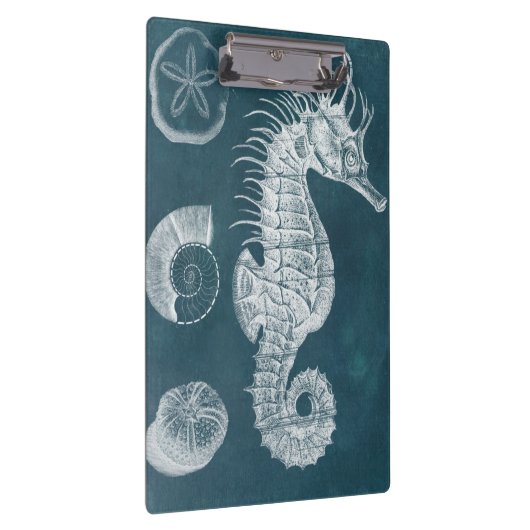 Azure-Seepferd-Studie I Klemmbrett (Rechts)