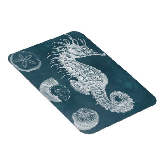 Azure-Seepferd-Studie I Magnet (Rechte Seite)