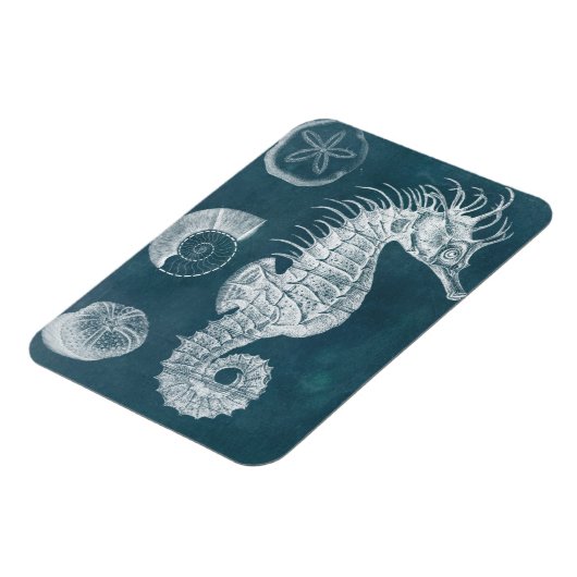 Azure-Seepferd-Studie I Magnet (Linke Seite)