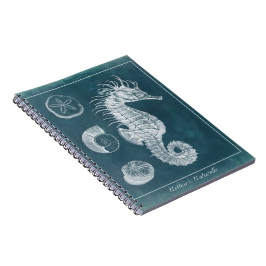 Azure-Seepferd-Studie I Notizblock (Rechte Seite)