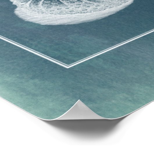 Azure-Seepferd-Studie I Poster (Ecke)