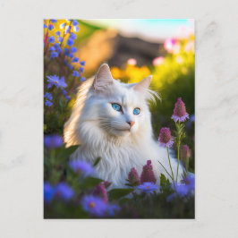 Azure the Turkish Angora Cat Postcard Postkarte