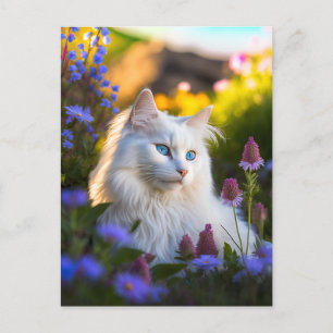 Azure the Turkish Angora Cat Postcard Postkarte