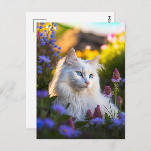 Azure the Turkish Angora Cat Postcard Postkarte (Vorne/Hinten)