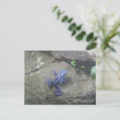 Azureus Giison Dart Frog Postkarte (Stehend Vorderseite)