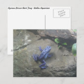 Azureus Giison Dart Frog Postkarte (Vorne/Hinten)