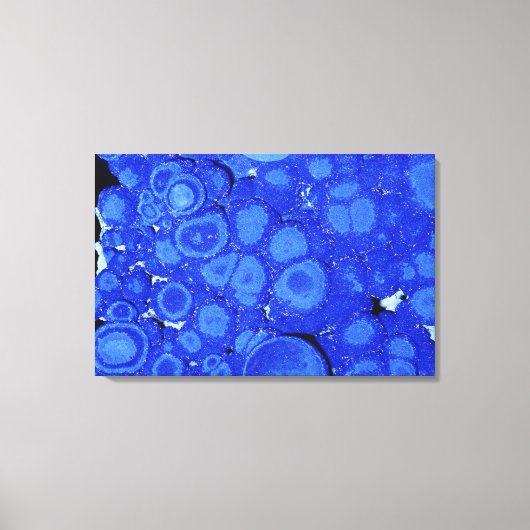 Azurit, ein Erz von Kupfer, Arizona, USA Leinwanddruck (Vorderseite)