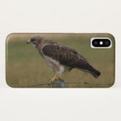 B10 Swainsons Hawk Case-Mate iPhone Hülle (Rückseite (Horizontal))