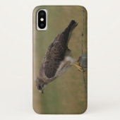 B10 Swainsons Hawk Case-Mate iPhone Hülle (Rückseite)