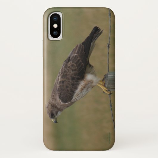 B10 Swainsons Hawk Case-Mate iPhone Hülle (Rückseite)