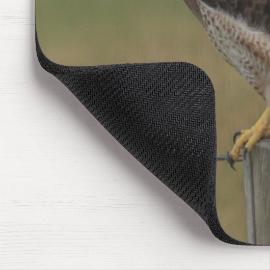 B10 Swainsons Hawk Mousepad (Ecke)