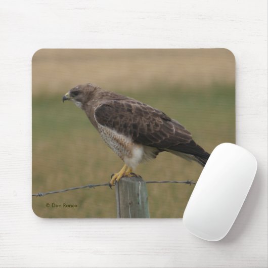 B10 Swainsons Hawk Mousepad (Mit Mouse)