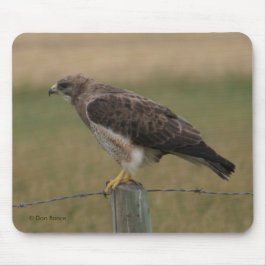 B10 Swainsons Hawk Mousepad