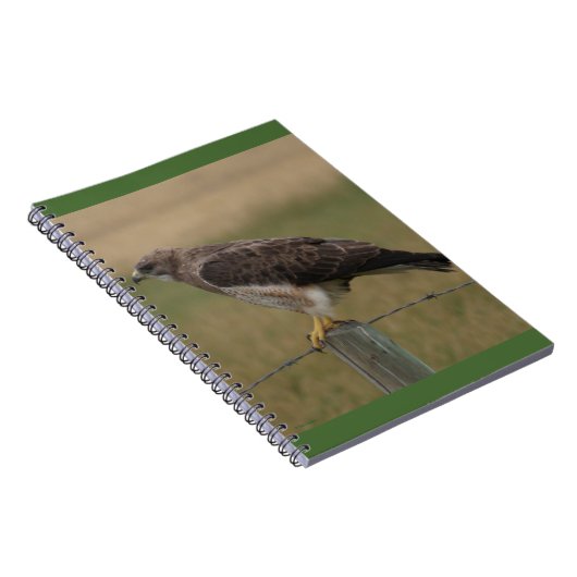 B10 Swainsons Hawk Notizblock (Rechte Seite)