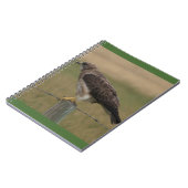 B10 Swainsons Hawk Notizblock (Linke Seite)