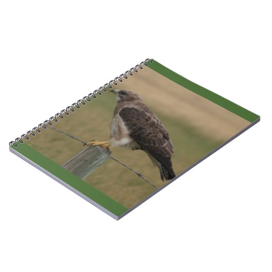 B10 Swainsons Hawk Notizblock (Linke Seite)