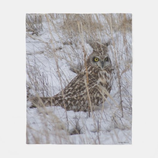 B11 Kurz gezogene Schneeauge Fleecedecke (Vorderseite)