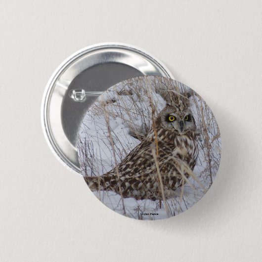 B11 Kurz gezüchtetes Schaf Button (Vorne & Hinten)